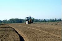 Gemüse Beetfräse 3