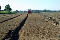 Gemüse Beetfräse 5