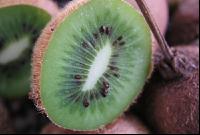 Kiwi 3