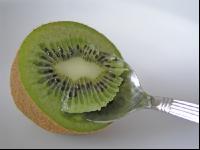 Kiwi 2