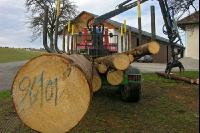 Holz laden 34