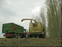 Energieholz Ernte 9