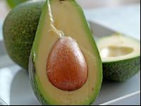 Avocado 1