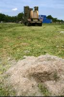 Gras mähen J 2
