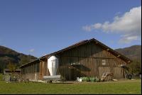 Rinderstall Panorma 1
