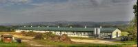 Hennenstall Panorama 1