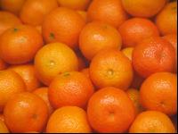 Mandarine 