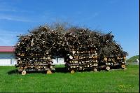 Holz Hackschnitzel 
