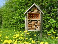 Insect hotel 3