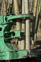 Energieholz Ernte 22