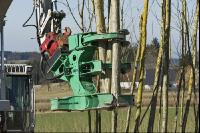Energieholz Ernte 38
