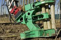 Energieholz Ernte 41