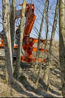 Energieholz Ernte 42