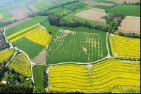 Damages winter kill 6