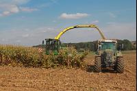 Maisernte Silage J 5