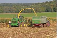 Maisernte Silage J 4