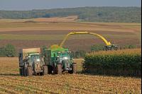 Maisernte Silage J 2