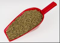 Kaninchen vital 1
