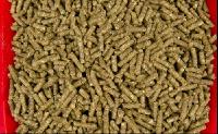 Kaninchen vital 3