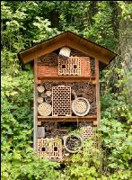 Insect hotel 1