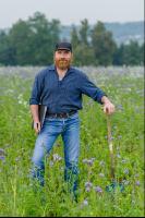 Phacelia oil radish clover 7