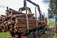 Schleifholz aufladen 4