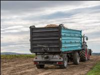 Kartoffel Transport 4