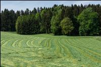 Dauerwiese gemäht