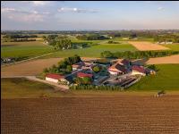 Kleegras pflügen 13