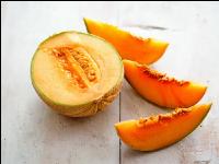 Zuckermelone 1