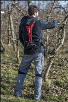 Obstbaumschnitt 16