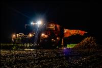 Rübenernte in der Nacht 2