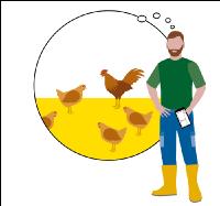 Farms and digitalisation 12