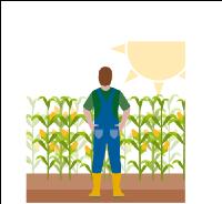 Farming and weather 1