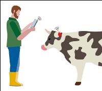 Farms and digitalisation 4