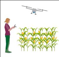 Modern farmer´s wife 6