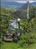 Apple harvest Puch 6