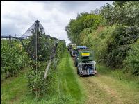 Apple harvest Puch 2