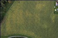 Soil compactions maize 6