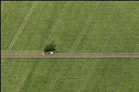 Sugar beets harvest 200