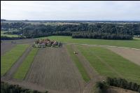 Sugar beets harvest 199