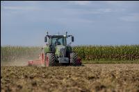 Intermediate crop seed 121