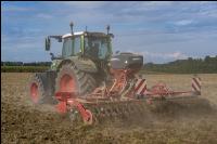 Intermediate crop seed 117