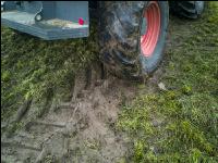 Soil compaction grassland 6