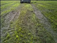 Soil compaction grassland 3