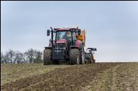 Wheat direct seed 32