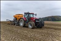 Wheat direct seed 31