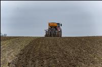 Wheat direct seed 28