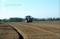 Gemüse Beetfräse 3