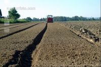 Gemüse Beetfräse 5